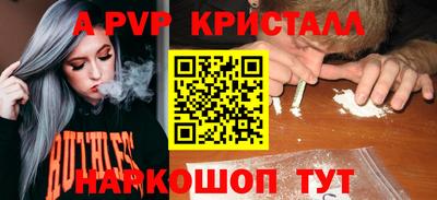 стаф Берёзовский