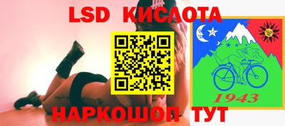 СК Бийск