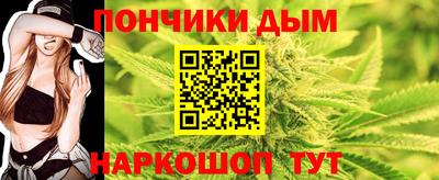 СК Бийск