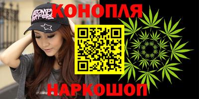 стаф Берёзовский