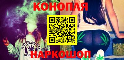 СК Бийск