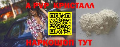 СК Бийск