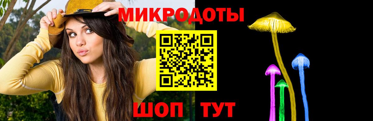 Канаш  Псилоцибиновые грибы мицелий  Галлюциногенные грибы MAGIC MUSHROOMS  Вход с VPN 