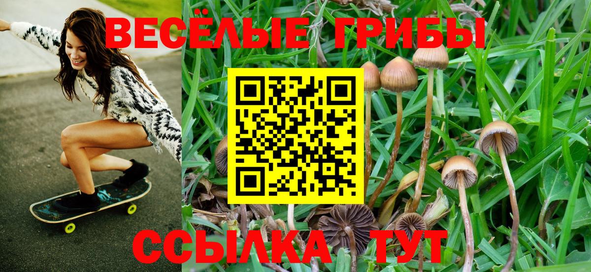 Псилоцибиновые грибы прущие грибы Канаш