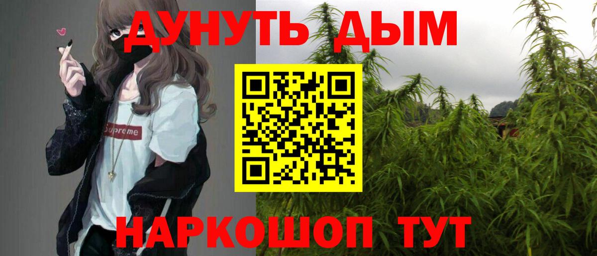 Бошки Шишки планчик Канаш